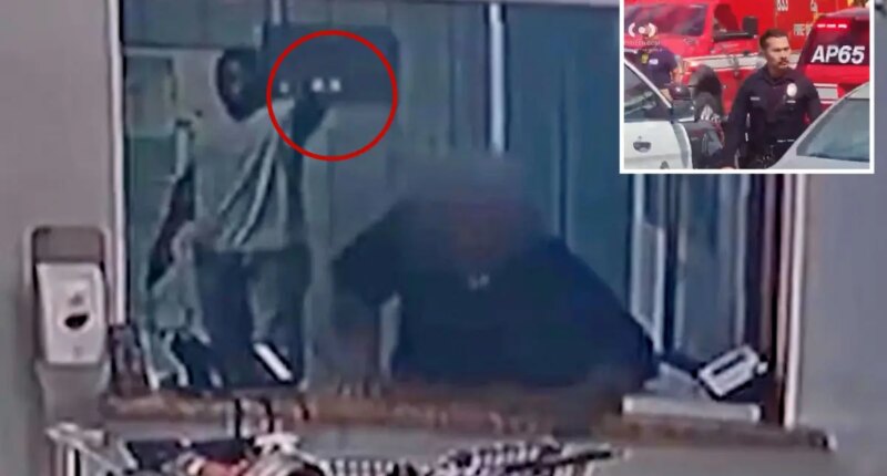 Video shows gunman open fire at South LA assisted living facility