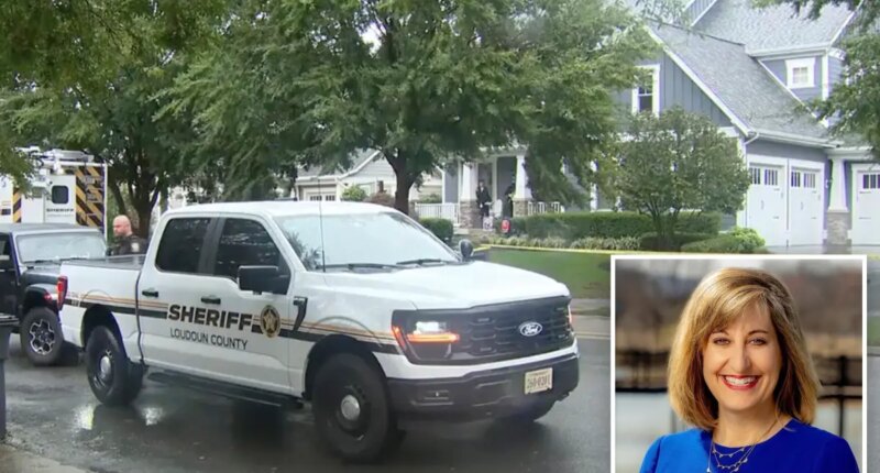 Virginia man charged with killing realtor wife in tony DC suburb after multi-state manhunt
