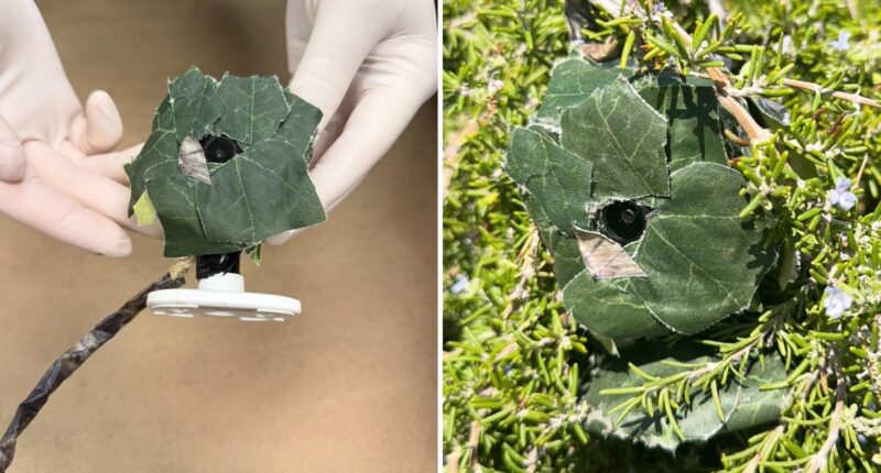 Whittier detectives find hidden camera near burglarized home