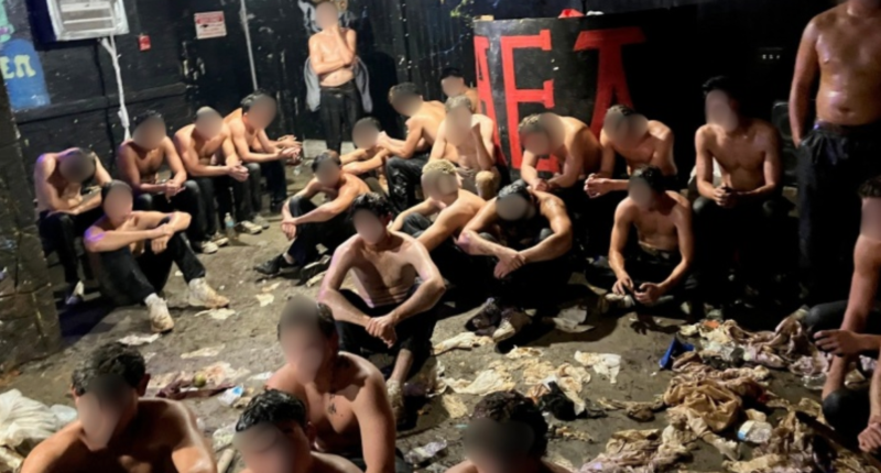 Wisconsin police find dozens of partially clothed men in frat house basement in alleged hazing incident