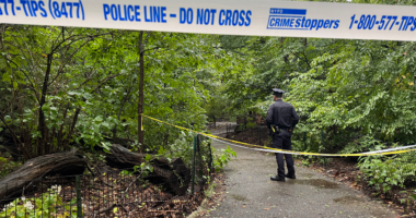 Woman found dead with unexplained trauma in Central Park as NYPD searches for answers