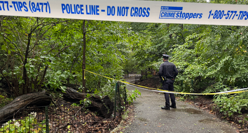 Woman found dead with unexplained trauma in Central Park as NYPD searches for answers