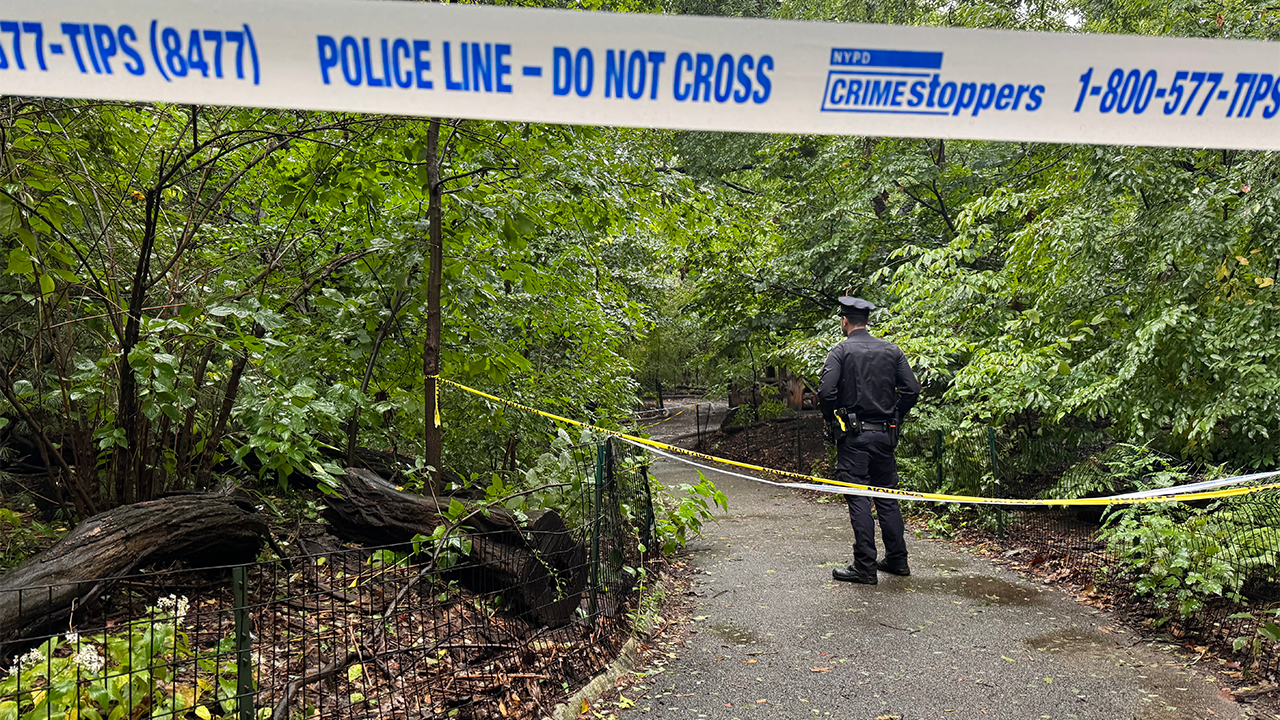 Woman Found Dead in Central Park With Unexplained Trauma