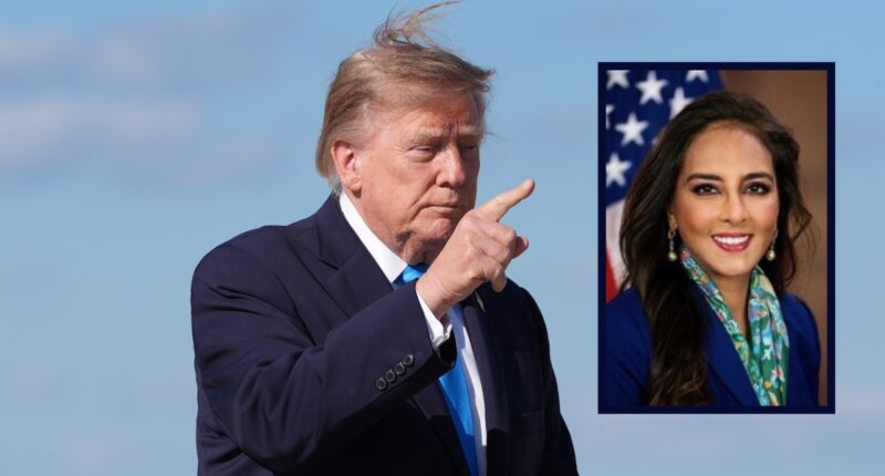 Donald Trump, Harmeet Dhillon