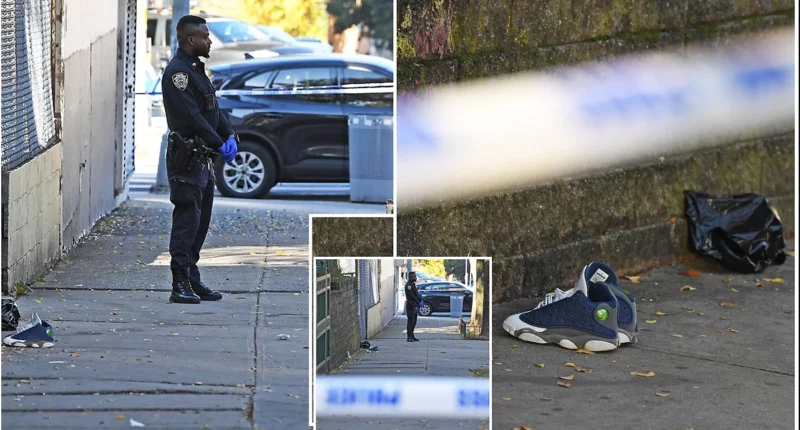 15-Year-Old Boy Shot Dead While Walking to School in Broad Daylight NYC Attack, Police Say