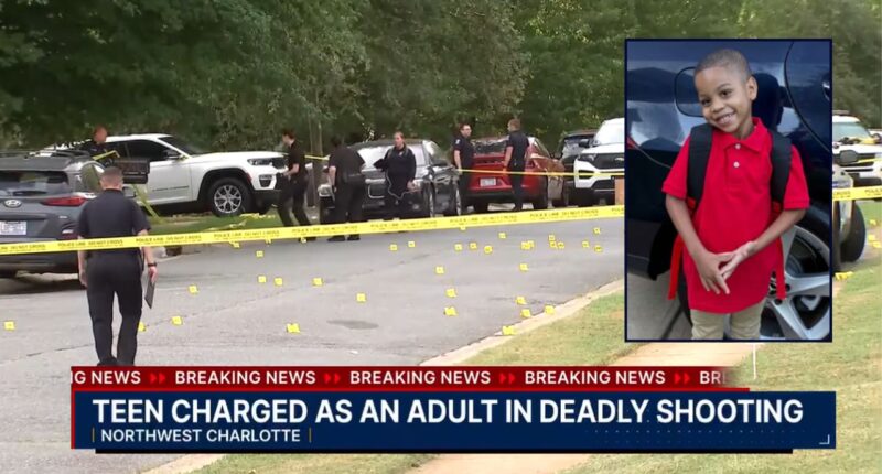 4-year-old killed in bed when 7 people fire 84 bullets: Cops