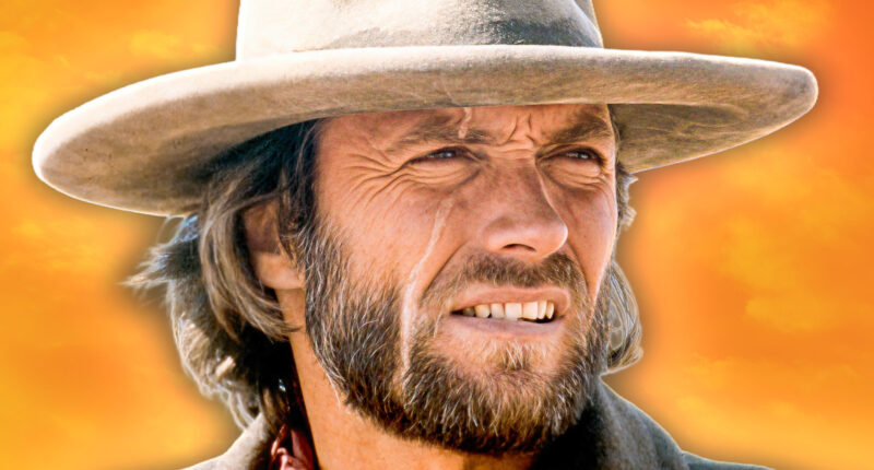 5 Best Western Movies About Revenge, Ranked