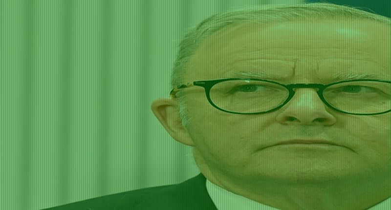 Albanese govt wants to cash in on history we can never get back: PVO