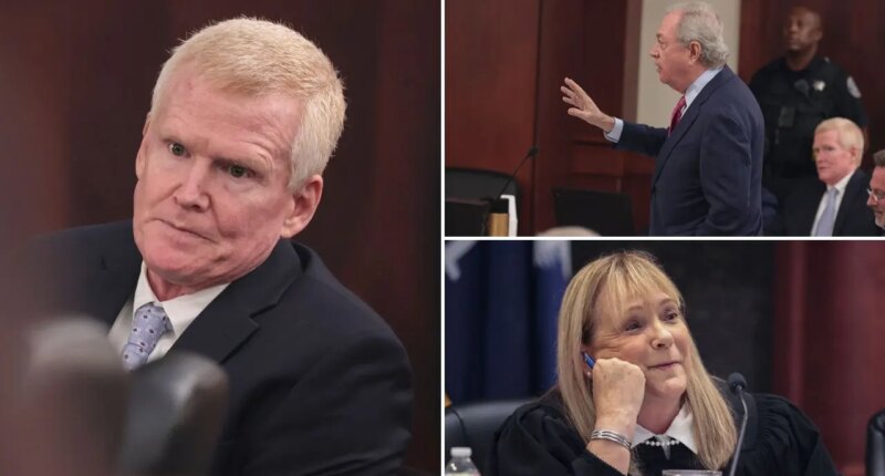 Alex Murdaugh's defense makes 'high risk' move to show DNA proves he didn't kill family, prosecutor says