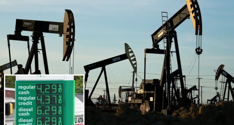 Americans want energy independence from foreign countries: poll