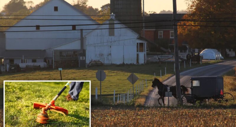 Amish woman uses weed whacker to scare off illegal migrant allegedly threatening to kidnap her at knifepoint