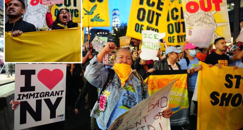 Anti-ICE protests continue in NYC day after shooting of 'criminal illegal' migrant