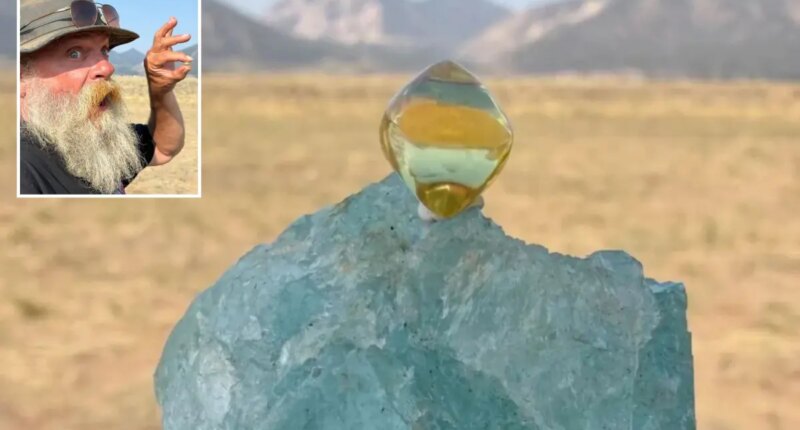 Arkansas gem hunter discovers 6-carat American Dream diamond worth 1M