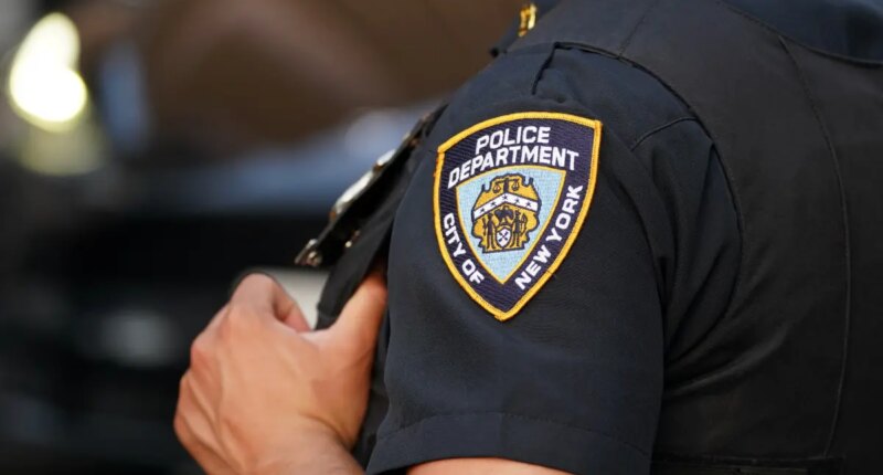 Arrestee dies after medical episode in custody at NYPD precinct