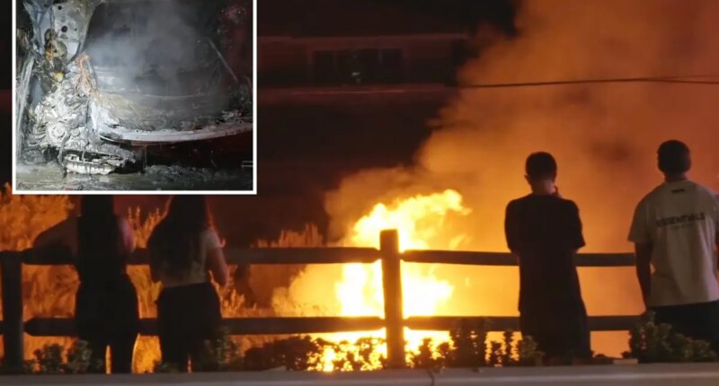 Audi S5 bursts into flames after high-speed Santa Clarita crash
