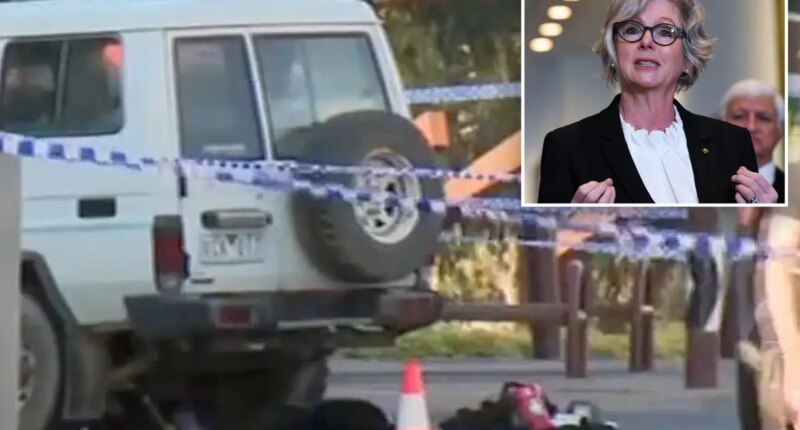 Australian politician Helen Haines critically injured after being struck by car outside her office