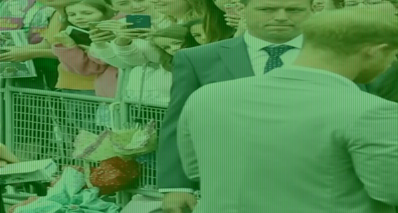 Awkward moment Harry took on the role of a royal aide holding Meghan's flowers on their first official royal walkabout in Nottingham 