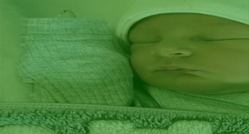BBC wildlife presenter Tyler Whitnall welcomes a daughter