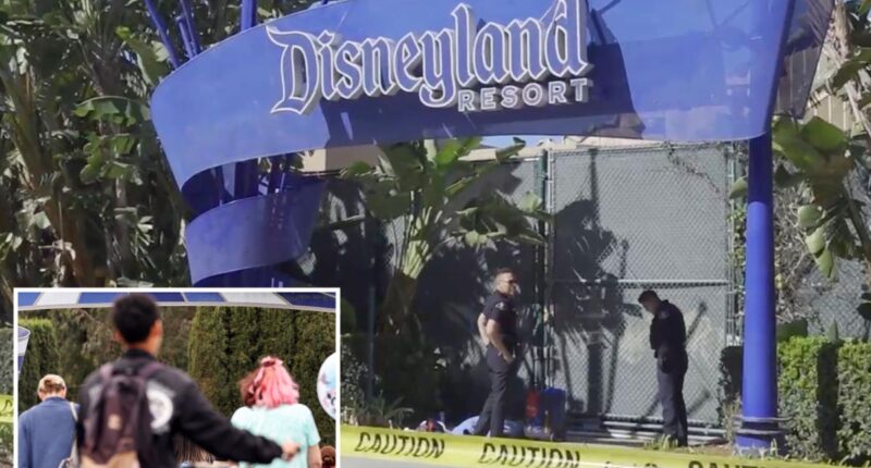 Body found near Disneyland Resort sign in Anaheim, police investigating
