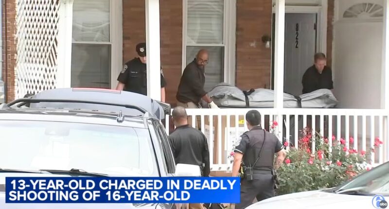 Boy, 13, finds Ruger by trash can, kills his friend: Cops