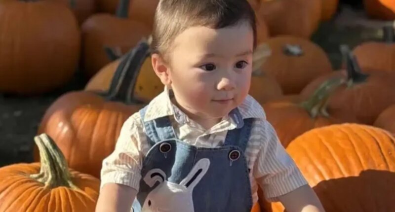 Boy struck and killed by SUV while pumpkin picking in NJ: 'Absolute devastation'