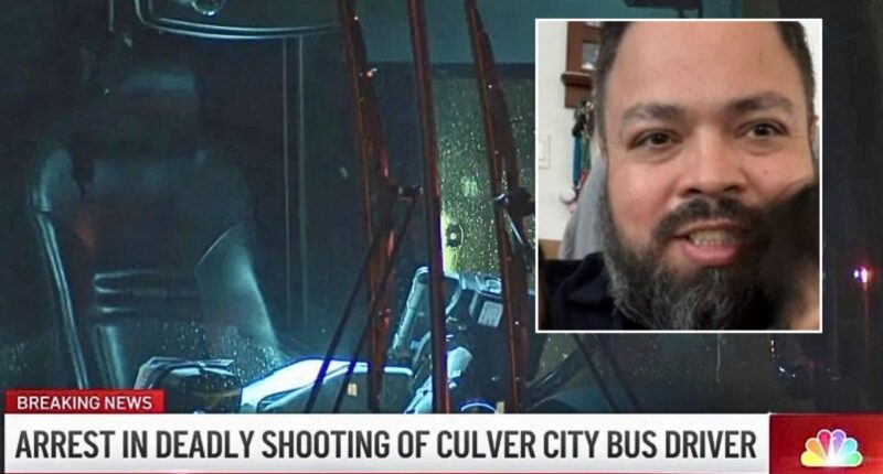 Bus passenger guns down driver who wouldn't stop for him: DA