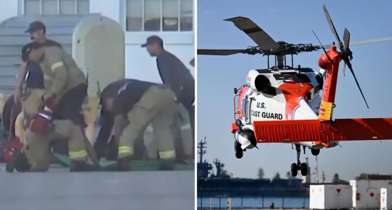 California Coast shark attack details emerge after migrant smuggling attempt