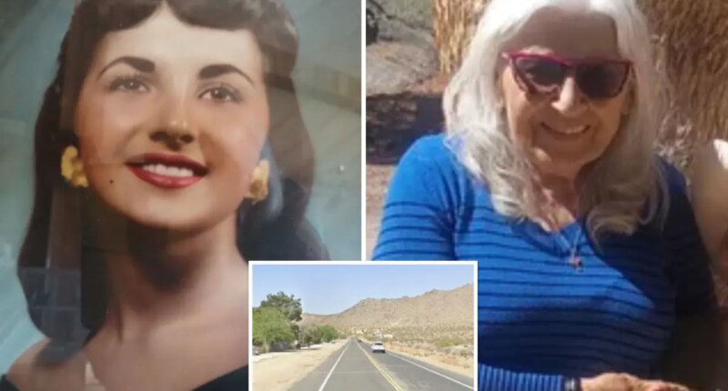 California mother, 86, dies after rushing into traffic to save pet