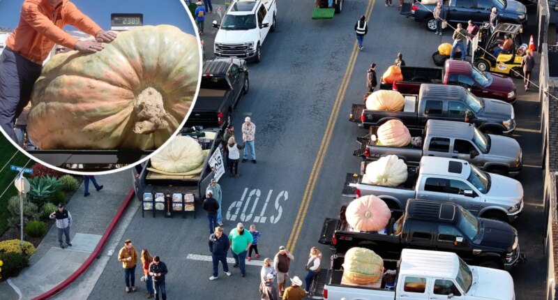 California pumpkin contest awards $21K to Minnesota grower