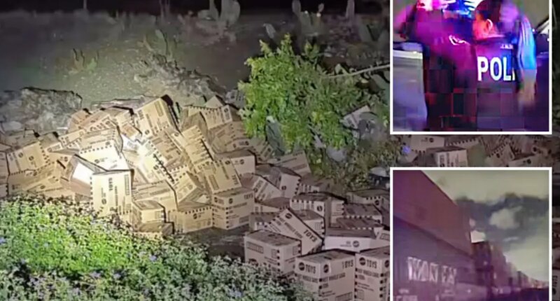 California suspect arrested for $54K in stolen Hot Wheels
