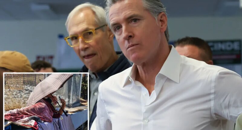 Californians blast Gavin Newsom's performance as governor in devastating new poll