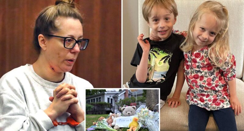 Cause of death for 2 young children allegedly killed by acupuncturist mom Janette MacAusland revealed