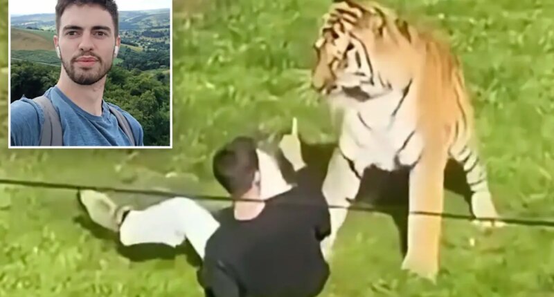 Cause of death given for former child actor mauled by tiger