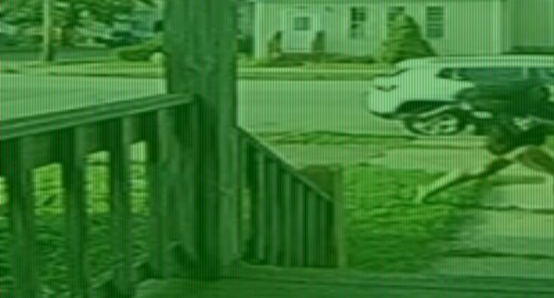Children and women run for their lives as grandpa kills 9 in Erie