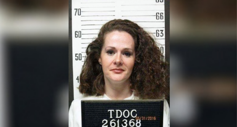 Christa Gail Pike: Tennessee unable to carry out execution by lethal injection for 1995 murder, witnesses say