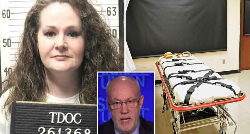 Christa Pike's lawyer calls for death row sentence to be thrown out after 'tortuous' failed execution