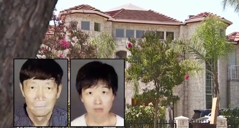 Couple turned mansion into 'horrific' surrogacy compound: DA