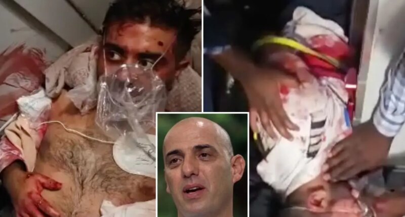 Crew of hijacked flydubai plane fought with Israeli passengers to free the terrorist