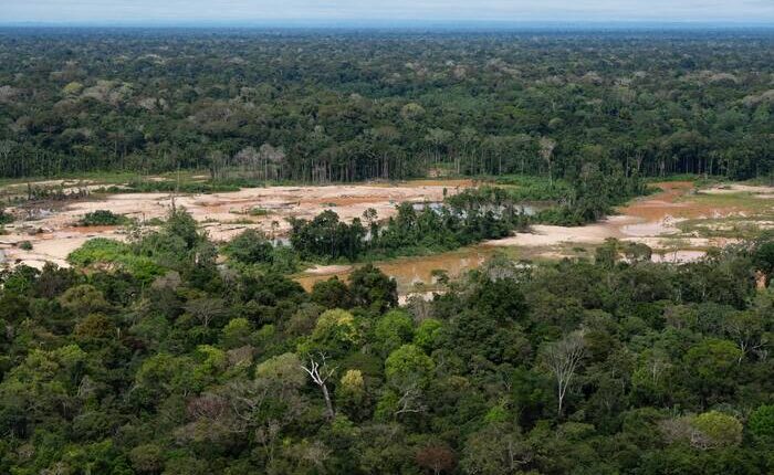 Criminal networks threaten the Amazon. Indigenous leaders want the UN to act