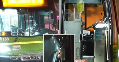 Culver City suspends weekend bus services after fatal shooting of driver