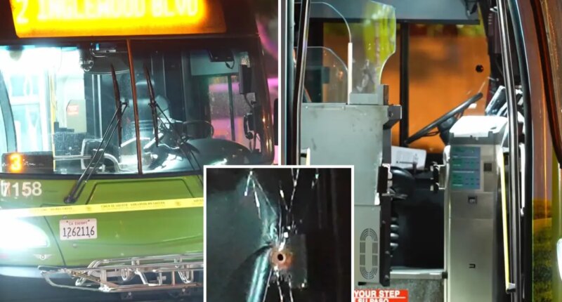 Culver City suspends weekend bus services after fatal shooting of driver