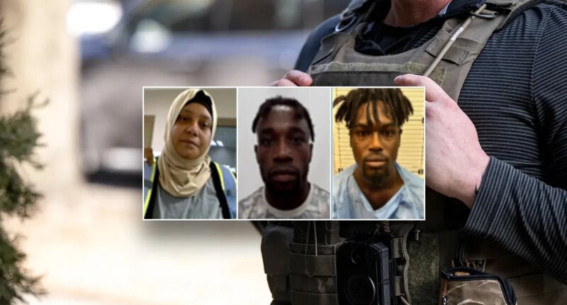 DHS launches nationwide ICE operation targeting illegal immigrants accused of SNAP food stamp fraud