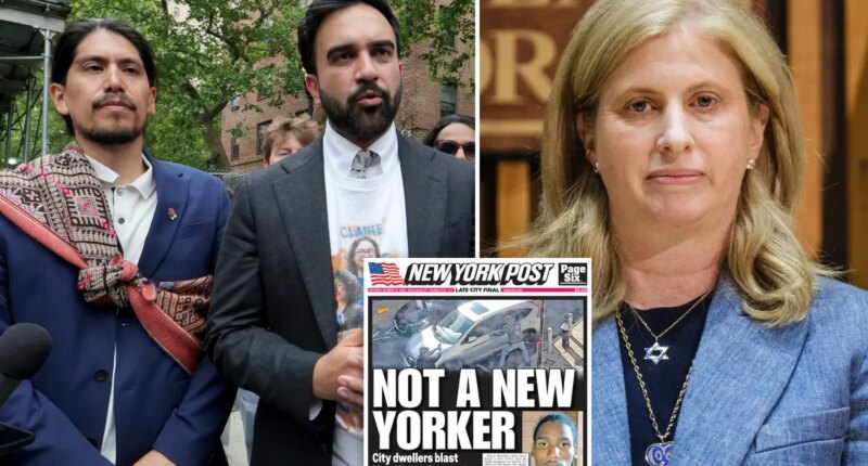 DSA comrades increase pressure on Mamdani to fire NYPD commissioner after ICE shooting