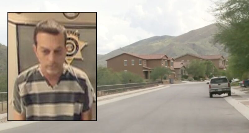 Dad stabbed, ran over wife in home with 2 young kids: Cops