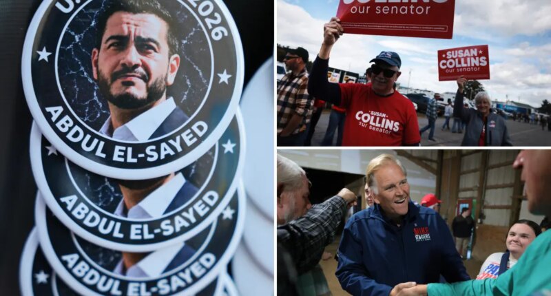 Democrats' midterm elections mail-in votes give early leads