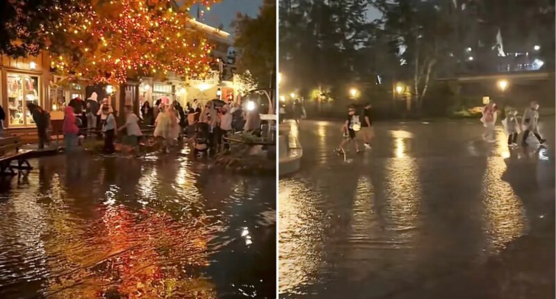 Disneyland flooded by sudden downpour as rides shut down and fireworks canceled