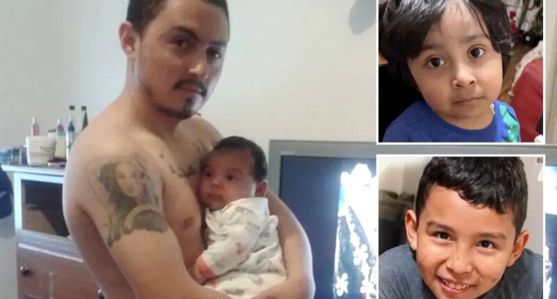 Disturbing posts surface after LA father allegedly kills two sons