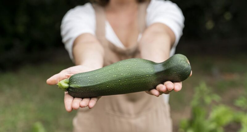 Door handle, coat hanger and courgette among ‘foreign objects’ NHS removed from bottoms