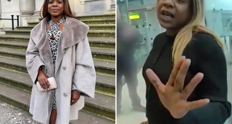 Drunk 'architect of the year' attacked flight attendant who asked her to keep quiet for sleeping baby