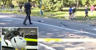 Elderly cyclist, 71, killed after hitting dog, flipping over handlebars in Central Park